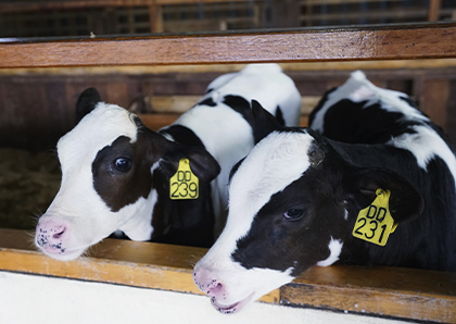 �Bֳ�ИI��ˮ�^�V����